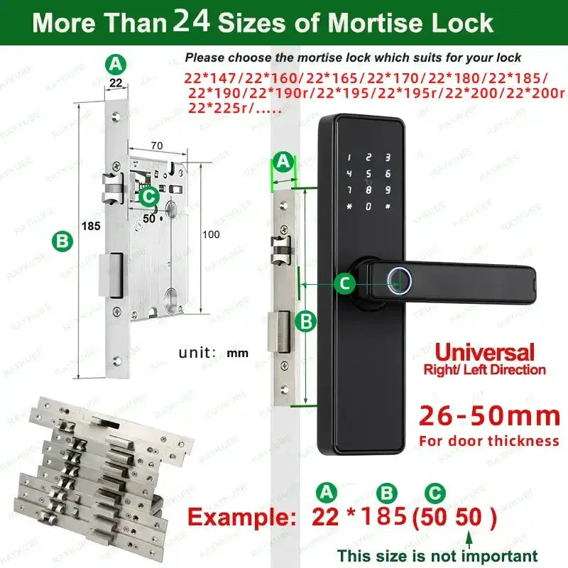 RAYKUBE K20 Biometric Fingerprint Door Lock by Habicare