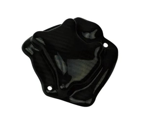 YAMAHA R1 2009-2014 (Pickup Cover Kevlar Inside) Dry Carbon by CARBONISE