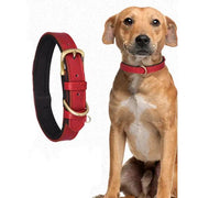 Adjustable Strong Heavy Duty PU Leather Dog Collar for Large Dogs by salelink.co.nz